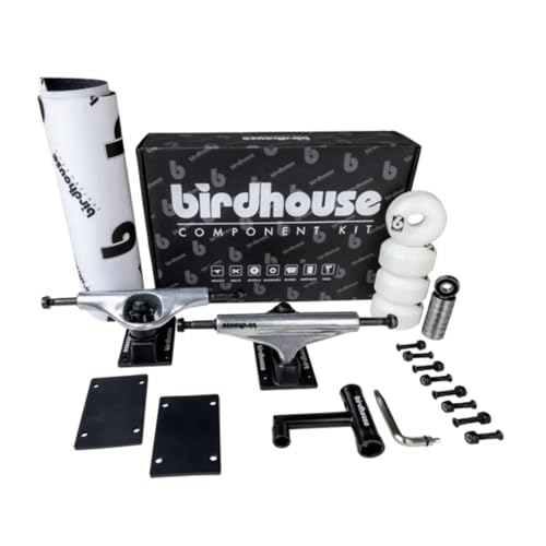 Birdhouse Kit Skate: Component Kit 5.25 Silver/Black von Birdhouse