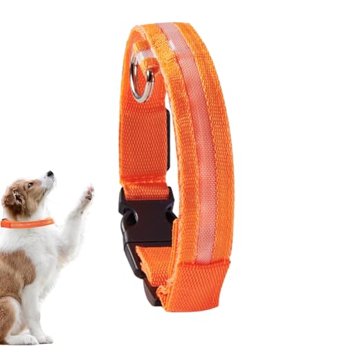 Bitong LED-Halsband | Blinkendes, leuchtendes LED-Halsband für Hunde - Wiederaufladbares, blinkendes LED-Sicherheitshalsband für mittelgroße und kleine Haustiere und Hunde von Bitong