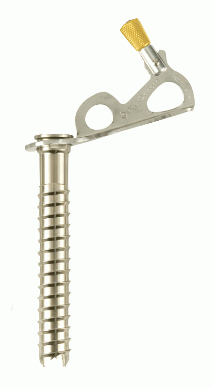 Eisschraube Express Ice Screw von Black Diamond