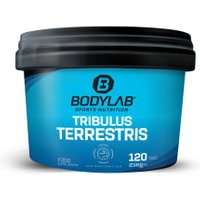 Tribulus Terrestris (120 Tabletten) von Bodylab24