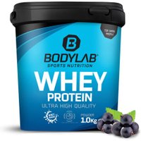 Whey Protein - 1000g - Blaubeere von Bodylab24