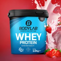 Whey Protein - 1000g - Erdbeer von Bodylab24