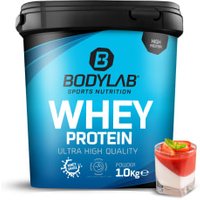 Whey Protein - 1000g - Pannacotta von Bodylab24