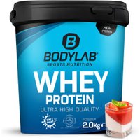 Whey Protein - 2000g - Pannacotta von Bodylab24