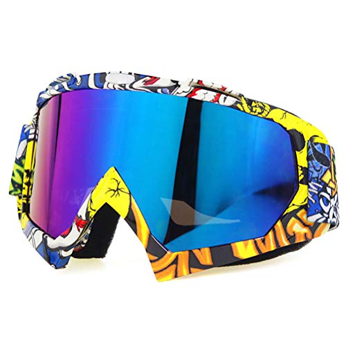 Breale Winddichte Brille, Unisex MTB Motorrad UV Schutz Snowboard Ski Schutzbrille Off Road Motocross Helm Glas für Motorrad Dirt Bike ATV von Breale