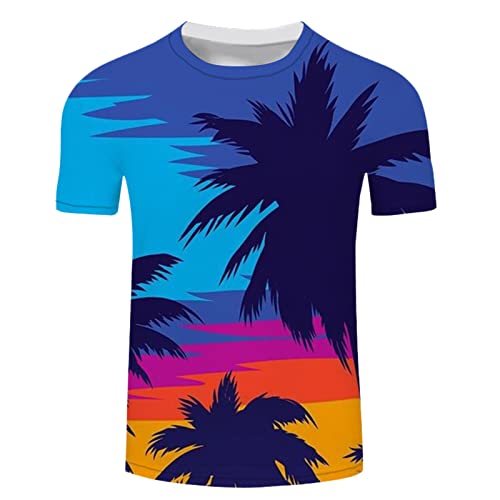 Herren Sommer T-Shirt Hawaiian 3D Print Crew Neck Tee Tops Rundhals Kurzarmshirt Baumwolle T-Shirt mit Bunt Männer Tshirt Streetwear Fitness Sport Hemd Bluse Streetwear Shirt von Briskorry