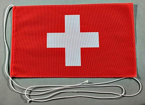 Buddel-Bini Schweiz 15x25 cm Tischflagge in Profi - Qualität Tischfahne Autoflagge Bootsflagge Motorradflagge Mopedflagge Schweizerfahne von Buddel-Bini