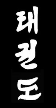 Budodrake Taekwondo Schriftzeichen Aufnäher (schwarz) von Budodrake