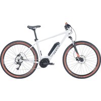 Bulls LT Performance 29'' 545 Wh grau 2024 von Bulls