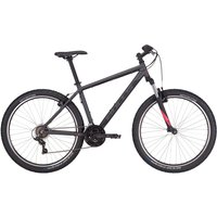 Bulls Pulsar Eco 26'' grau 2022/2023 von Bulls