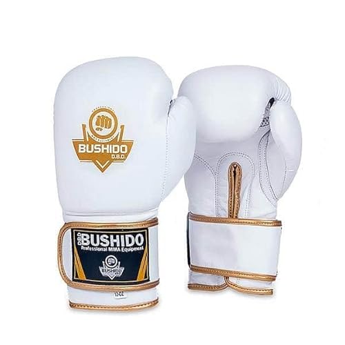 Bushido Boxhandschuhe für alle Kampfsportarten, Boxtraining (12 oz) von Bushido