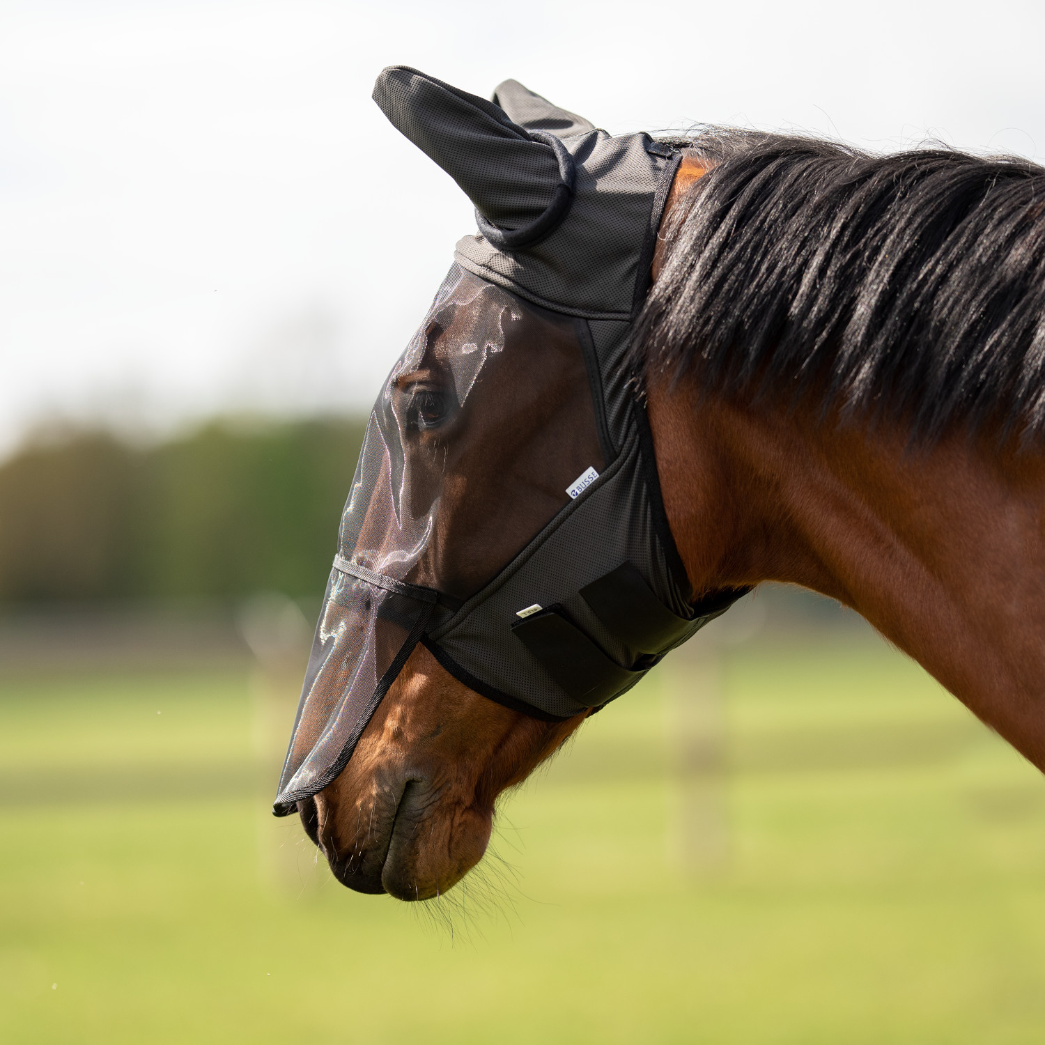 Busse Fliegenmaske Fly Guard II Plus von Busse