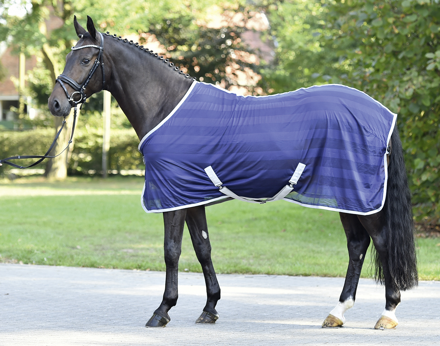 Busse TransportFliegendecke STRIPE von Busse