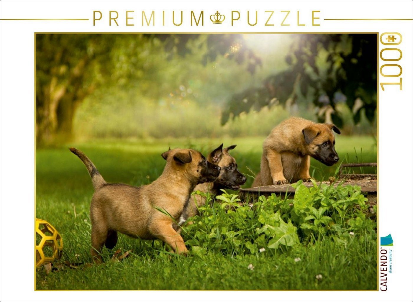 CALVENDO Puzzle CALVENDO Puzzle Hundekinder entdecken die Welt... 1000 Teile Lege-Größe 64 x 48 cm Foto-Puzzle Bild von Martina Wrede, 1000 Puzzleteile von CALVENDO