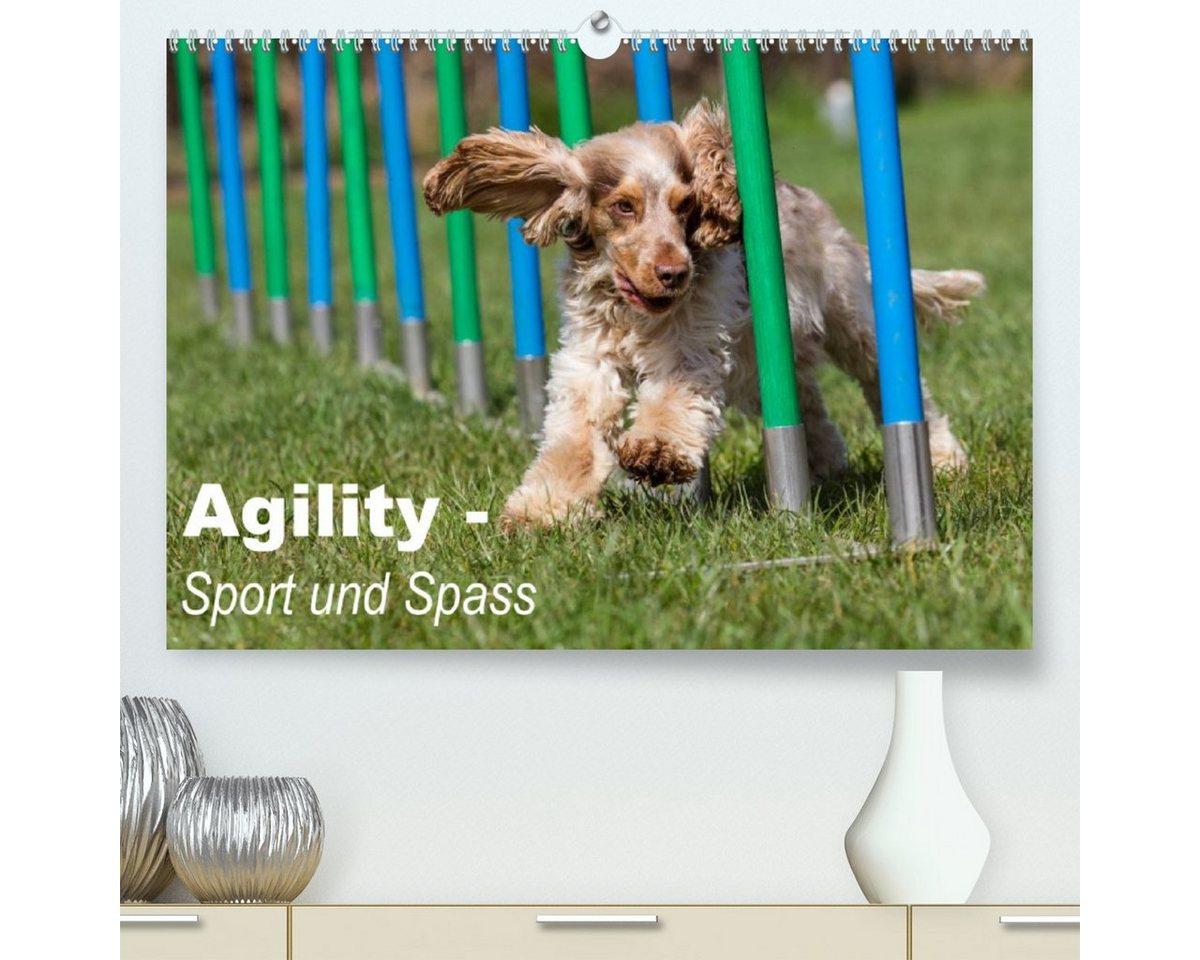 CALVENDO Wandkalender Agility - Sport und Spass (Premium, hochwertiger DIN A2 Wandkalender 2023, Kunstdruck in Hochglanz) von CALVENDO