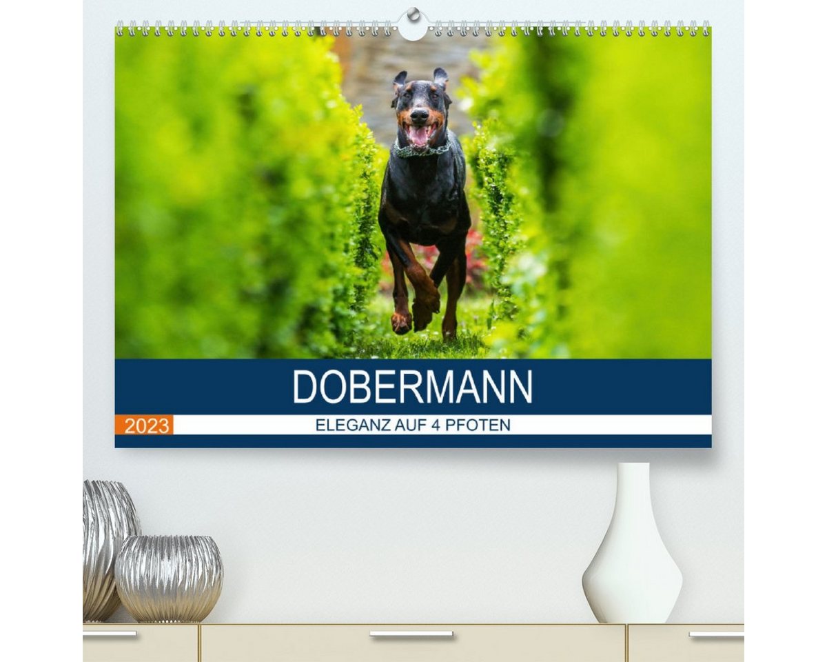 CALVENDO Wandkalender Dobermann 2023 (Premium, hochwertiger DIN A2 Wandkalender 2023, Kunstdruck in Hochglanz) von CALVENDO