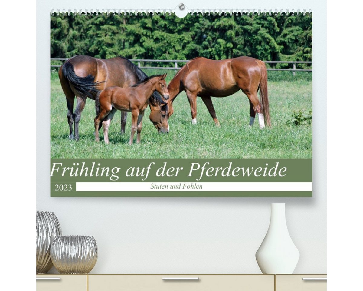 CALVENDO Wandkalender Frühling auf der Pferdeweide (Premium, hochwertiger DIN A2 Wandkalender 2023, Kunstdruck in Hochglanz) von CALVENDO