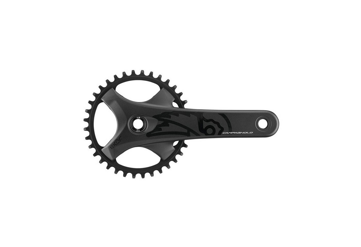 CAMPAGNOLO Fahrradkurbel von CAMPAGNOLO