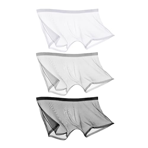 CEAeis Ice Silk Sexy Mesh Volltransparente Boxershorts, atmungsaktive, durchsichtige, Hohle Slips für Männer (3pcs-A,2XL) von CEAeis