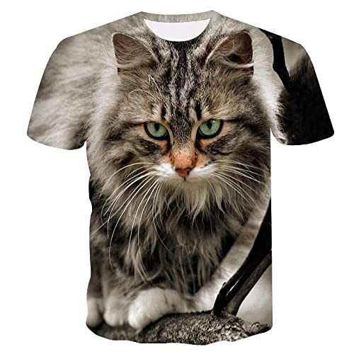 CHANYI Herren 3D Druck T-Shirt Cooles T-Shirt Männer/Frauen 3D-Druck T-Shirt Druck Zwei Katzen Kurzarm Sommer O-Neck Tops T-Shirts Lustiges T-Shirt Männlich von CHANYI