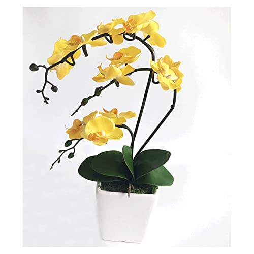 CHCWR 15 "künstliche Phalaenopsis mit Porzellanvase Innenseiden Orchidee Gefälschte Pflanzen in Topf Faux Blumen Arrangements für Wohnzimmertisch Mittelstücke Wohnkultur von CHCWR