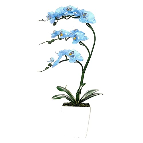 CHCWR 15 "künstliche Phalaenopsis mit Porzellanvase Innenseiden Orchidee Gefälschte Pflanzen in Topf Faux Blumen Arrangements für Wohnzimmertisch Mittelstücke Wohnkultur von CHCWR