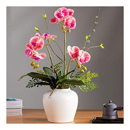 CHCWR Künstliche Blume mit Vase Set - Künstliche Orchidee 3 Köpfe Phalaenopsis gefälschte Blumen Pflanzen Orchidee für Wohnkultur Tisch Herzstück Office Hochzeitsfeier Dekoration (Farbe: Pink) von CHCWR