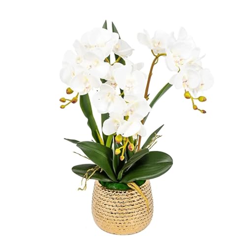 CHCWR Künstliche Orchideenblume im Keramik -Topf, Faux gefälschte Phalaenopsis Blumenarrangement für Wohnkultur Wohnzimmertisch Herzstück Herzstück von CHCWR