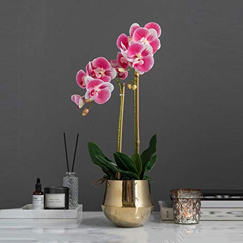 CHCWR Künstliche Schmetterlingsorchidee Set -Topfpflanzen Seidenblume mit Goldener Vase für Büro -Home -Dekoration Hochzeit für Haustisch Office Desk Dekor (Farbe: Pink) von CHCWR