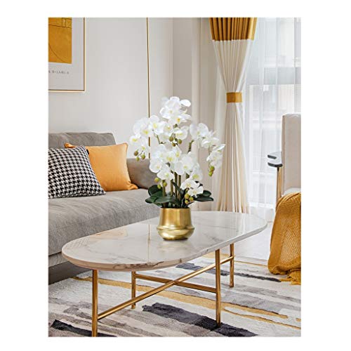 CHCWR Orchidee künstliche Blumen Phalaenopsis falsche Blume mit Keramik Vase gefälschte Seidenblumen Dekoration für Tisch -Home Office Hochzeitsfeier Hotel Restaurant oder Gartendekoration (Pink) für von CHCWR