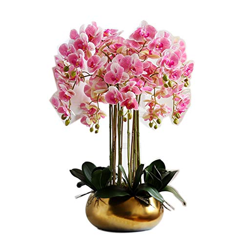 CHCWR Simulation Faux Phalaenopsis Orchideen Blumen, künstliche Blumenarrangements Retro Blumensträuße Bonsai Dekor für Haus/Salon/Küche/Schlafzimmer/Büro Tisch Herzstück Hochzeitsfeier Dekora Dekora von CHCWR