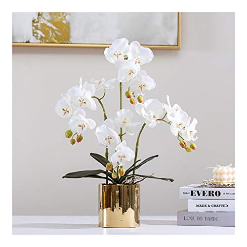 Künstliche Blume mit Vase -Set - Künstliche Orchidee Phalaenopsis gefälschte Blumen Pflanzen Orchidee für Wohnkultur Tisch Herzstück Office Hochzeitsfeier Dekoration (Farbe: Weiß, Größe: 4 Köpfe) von CHCWR