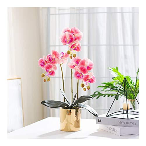 Künstliche Blume mit Vase -Set - Künstliche Orchidee Phalaenopsis gefälschte Blumen Pflanzen Orchidee für Wohnkultur Tisch Herzstück Office Hochzeitsfeier Dekoration (Farbe: Weiß, Größe: 4 Köpfe) von CHCWR