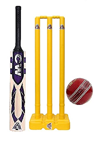 CW Pitch Smasher Cricket-Set aus Kaschmir-Weide, Cricket-Schläger für Erwachsene, Kunststoff-Wicket-Set und 2-teiliges Cricket-Ball aus Leder mit Kork-Innenseite. von CW