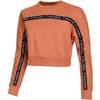 Calvin Klein Sweatshirt Damen in rost von Calvin Klein