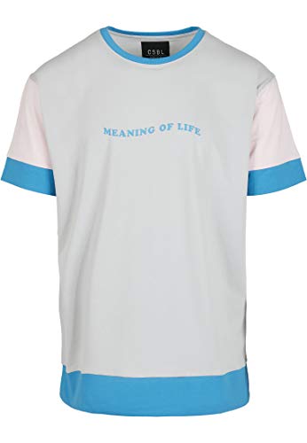 Cayler & Sons Men's CS1962-CSBL Coop of Life Semi Box Tee T-Shirt, Grey/Light pink, XXL von Cayler & Sons