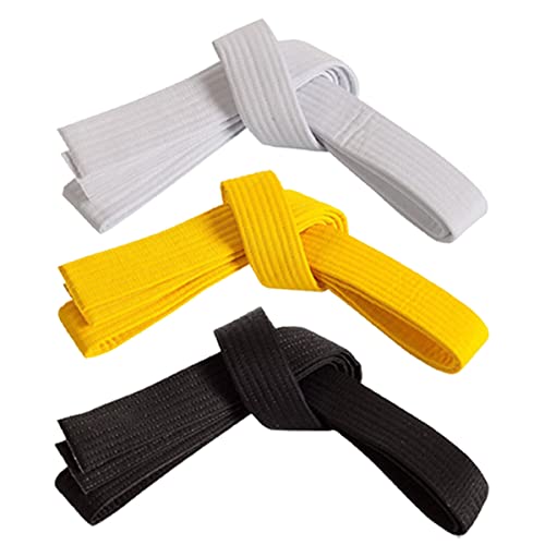 Century Kampfsportgürtel Doppelbindung Budogürtel Judo Karate Taekwondo Gürtel für Erwachsene (2 (230 cm), gelb) von Century