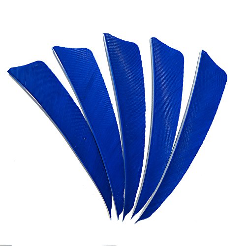 SHARROW 50 Stück Bogenschießen Pfeilfedern Naturfedern für Pfeile 4 Zoll Shield Cut Fletches Fletching Vanes (Blau) von SHARROW