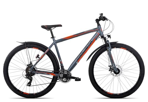 Ciclista Adventure 29 Disc | All-Terrain-Bike | 21-Gang Schaltung | Scheibenbremsen | LED-Lichtanlage | Nabendynamo, Farbe:Grey White orange Black, Rahmengröße:53 cm, Laufradgröße:29 Zoll Ciclista Adventure 29 Disc | All-Terrain-Bike | 21-Gang Schaltung | Scheibenbremsen | LED-Lichtanlage | Nabendynamo, Farbe:Grey White orange Black, Rahmengröße:53 cm, Laufradgröße:29 Zoll von Ciclista