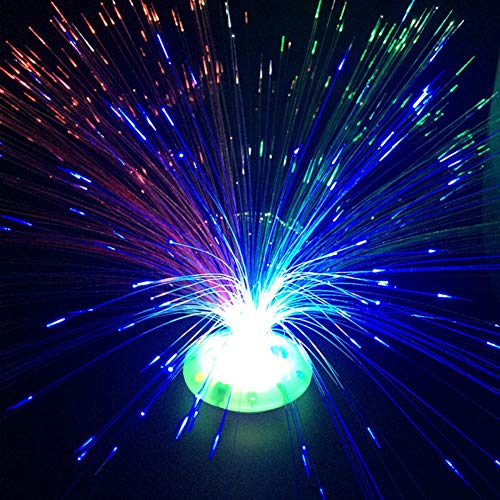 Clenp Niedliches Nachtlicht, 1PC Mehrfarbig leuchtende Glasfaser Blume LED Nachtlicht Home Bar Cafe Dekor Lampe Zufällige Farbe von Clenp