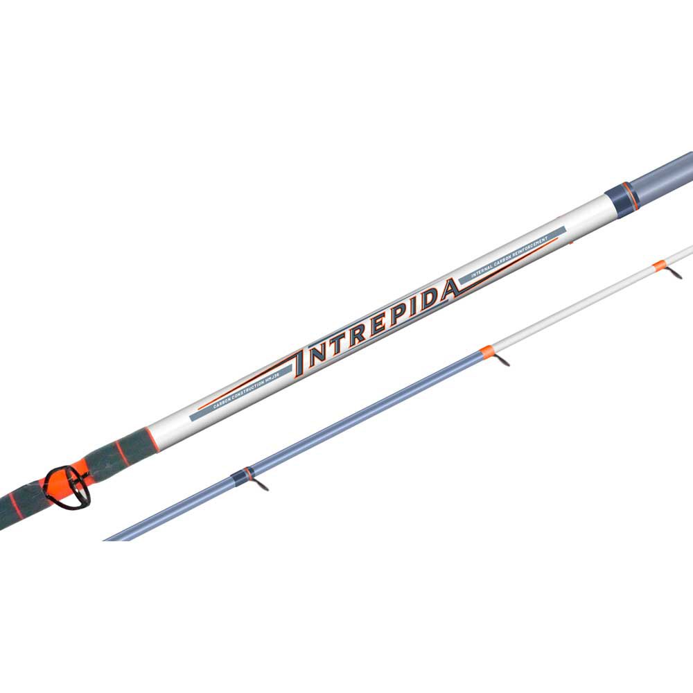 Colmic Intrepida Bottom Shipping Rod Silber 3.10 m / 750 g von Colmic