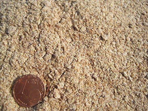 CommonBaits WEIZENKEIMMEHL 10Kg Weizenkeime von CommonBaits