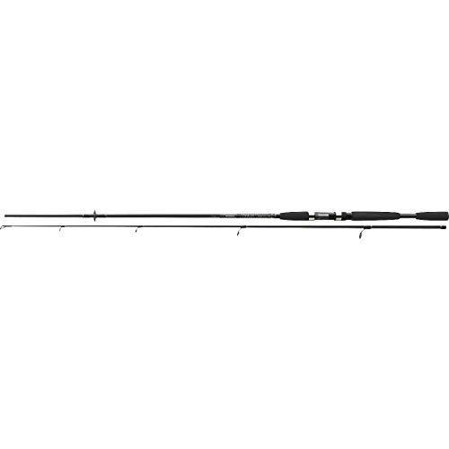 Cormoran i-COR Black 2.40m 4-20g Spinnrute von Cormoran