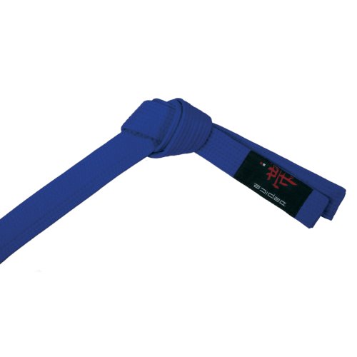 DEPICE Budogürtel blau 300 cm/Kampfsportgürtel Karategürtel Judogürtel von DEPICE