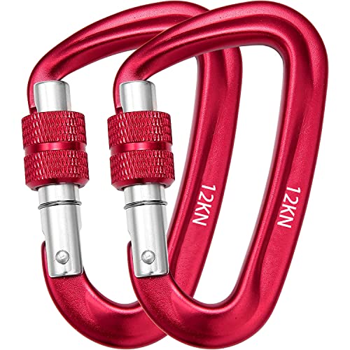 DYKJGSGO 12KN Karabiner, Karabinerhaken Schraubkarabiner mit 1200kg Belastbarkeit, 2 Stück Karabiner Schlüsselanhänger D Form luminium Karabiner für Hängematten, Camping, Wandern, Angeln (A) von DYKJGSGO