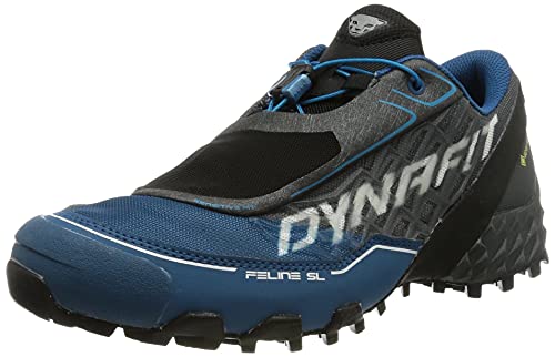 Dynafit Feline SL GTX Laufschuhe für Herren von DYNAFIT