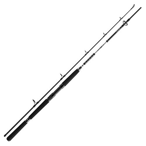Daiwa BG Offshore Boat 2,10m 150-400g Bootsrute von Daiwa