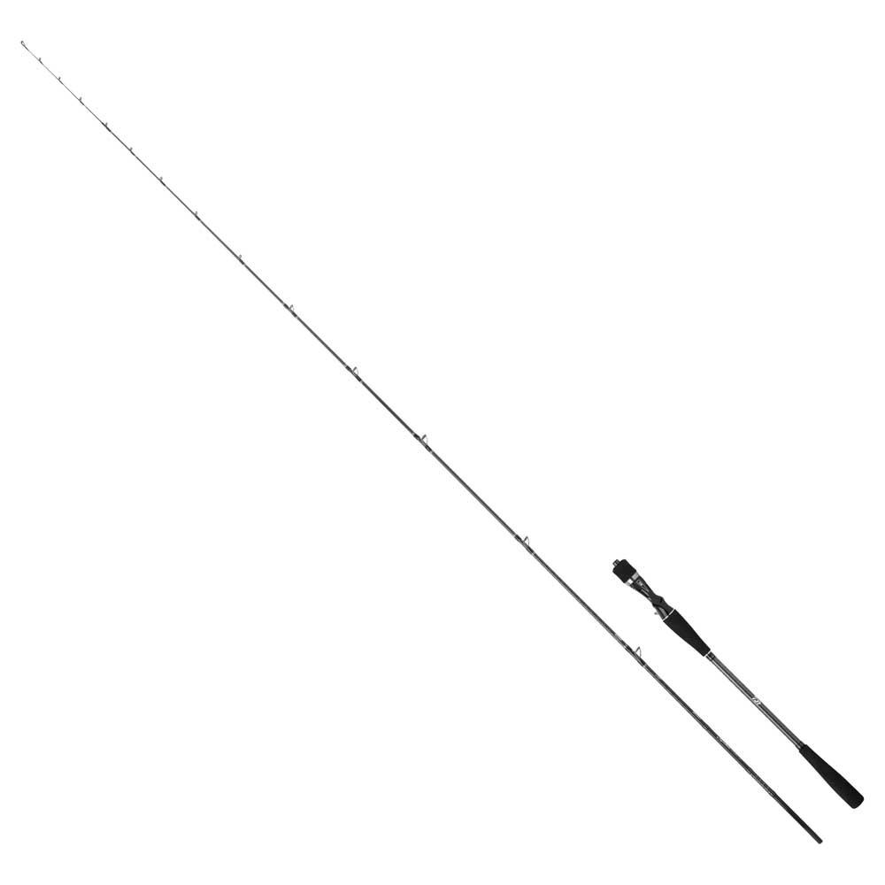 Daiwa Saltist Tenya Baitcasting Rod Grau 2.44 m / 15-50 g von Daiwa