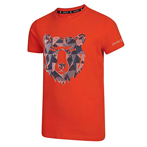 Dare2b Unisex Kinder Frenzy Cotton Graphic Print T-Shirt, Cajun Orange, Size 3-4 von Dare 2b