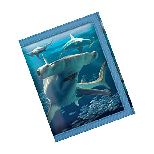 Deluxebase 3D LiveLife Geldbörsen - Hammerhaie Lentikuläre 3D-Ozean-Brieftasche. Bargeld-, Münz- und Kartenhalter mit Kunstwerken des renommierten Künstlers David Penfound von Deluxebase